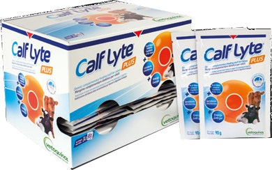 CALF LYTE PLUS POLVERE 24BUST-1