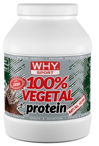 Why 100% Vegetal Protein Cacao 750g  - 1