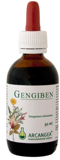 GENGIBEN SOL IAL 50ML-2