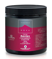 TERRANOVA SUPER SHAKE INT BERR-2