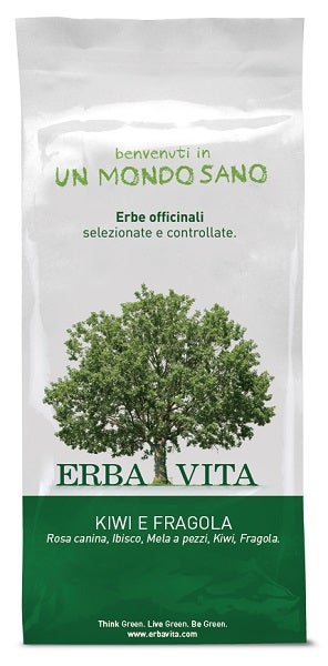 FRUIT TEA INFUSO KIWI/FRA 100G-2