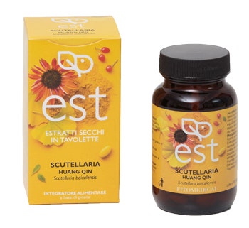SCUTELLARIA ES 60TAV-2