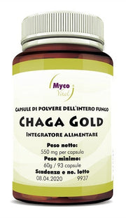CHAGA GOLD 93CPS-1