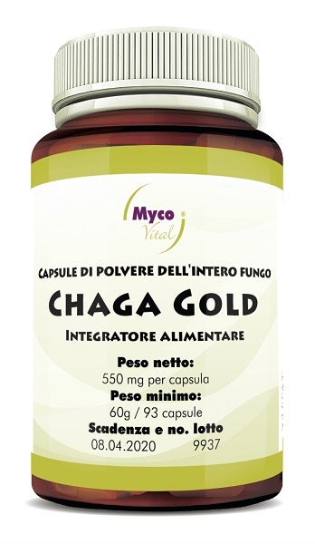 CHAGA GOLD 93CPS-1