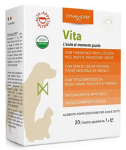 VITA 20BUST 1G-1