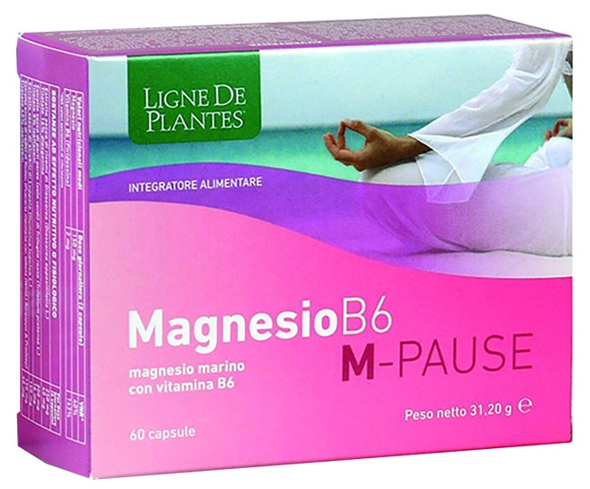 MAGNESIO B6 M-PAUSE 60CPS-1