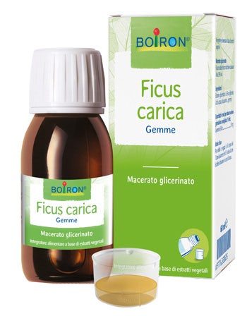 Ficus Carica Macerato Glicerico 60ml   - 1