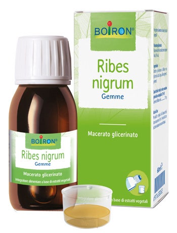 Ribes Nigrum Macerato Glicerico 60ml  - 1
