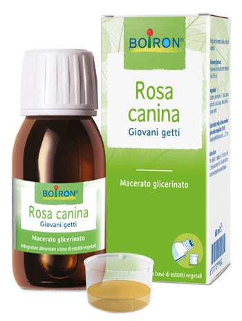 Rosa Canina Macerato Glicerico 60ml  - 1
