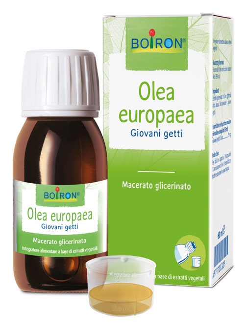 Olea Europaea Macerato Glicerico 60ml  - 1
