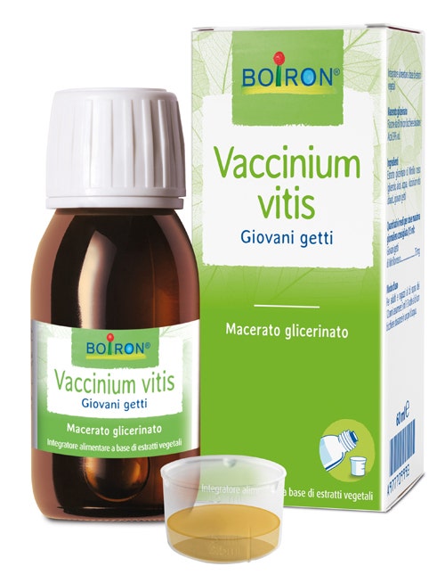 Vaccinium Vitis 60ml - 1