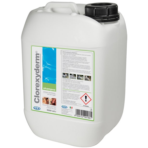 I.C.F. Clorexyderm Shampoo Disinfettante Cane/Gatto 5 Litri   - 2