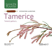 TAMERICE 15AMPOLLE-2