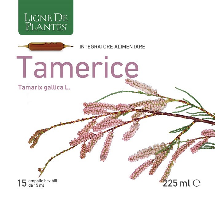 TAMERICE 15AMPOLLE-2