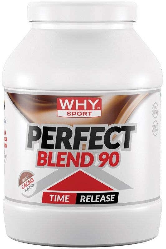 WHYSPORT PERFECT BLEND CACAO-1