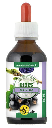 RIBES NIGRUM GEMMODERIV 100ML-1