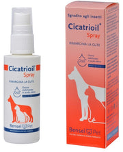 Bensel Pet Cicatrioil Spray 150ml-2