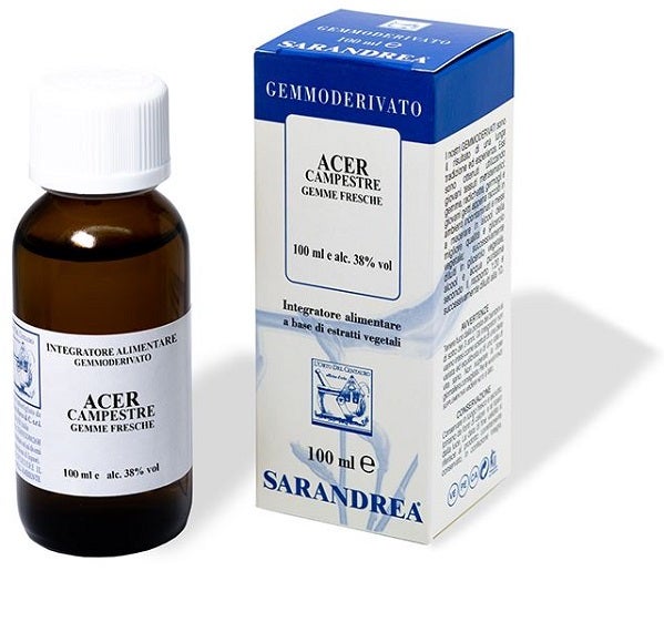 EXTRAGEM ACERO CAMPESTRE GEMME-2