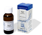 EXTRAGEM FICO GEMME 20ML-2