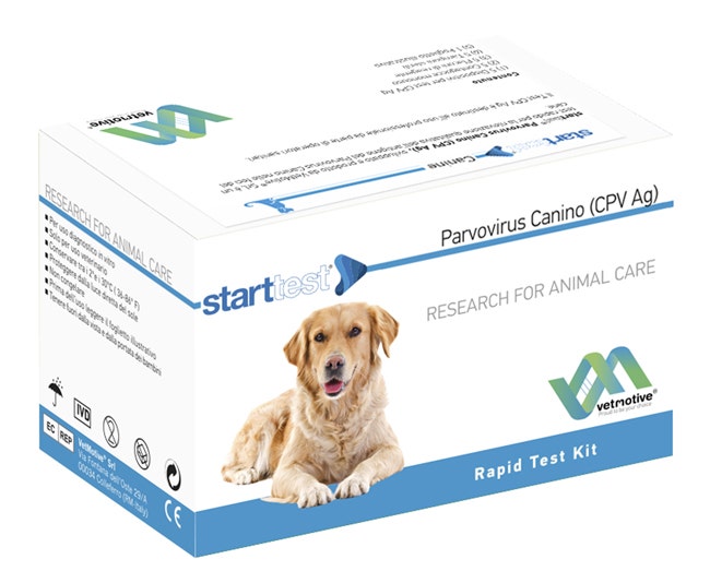 VetMotive Start Test Parvovirus Canino (CPV Ag) 5 Kit Test-2