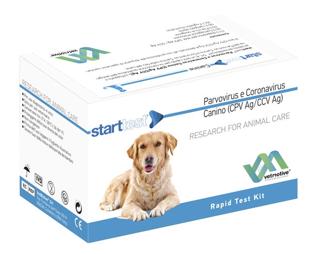 VetMotive Start Test Parvovirus e Coronavirus Canino (Ag) 5 Kit Test-2