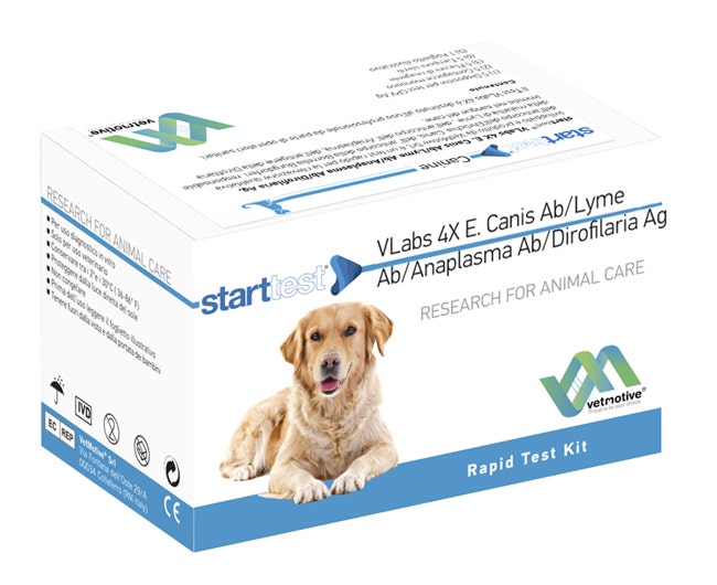 VetMotive Start Test Vlabs 4x (Canis Ab Lyme Ab Anaplasma Ab Dirofilaria Ag) 5 Kit Test-2