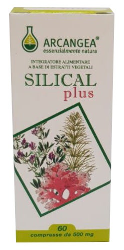 SILICAL PLUS 60CPR-1