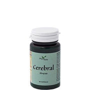 CEREBRAL AYURVED 60CPS-2