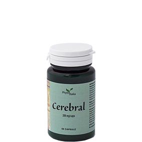 CEREBRAL AYURVED 60CPS-2