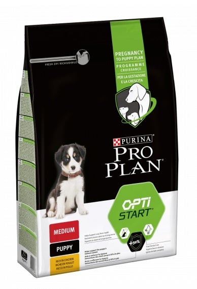 PP DD M PUP HEALTHY 12KG-2