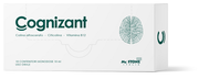 Cognizant 10fl-2