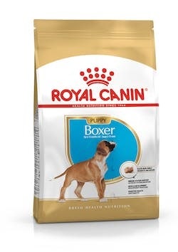 BREED HN BOXER PUPPY 3KG-2