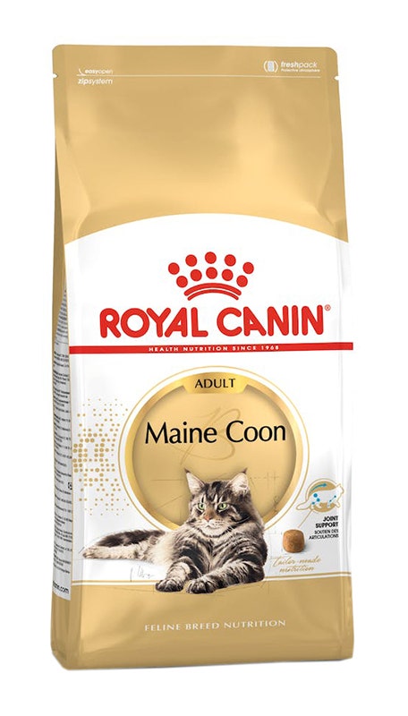 FELINE BN MAINE COON AD 31 2KG-2