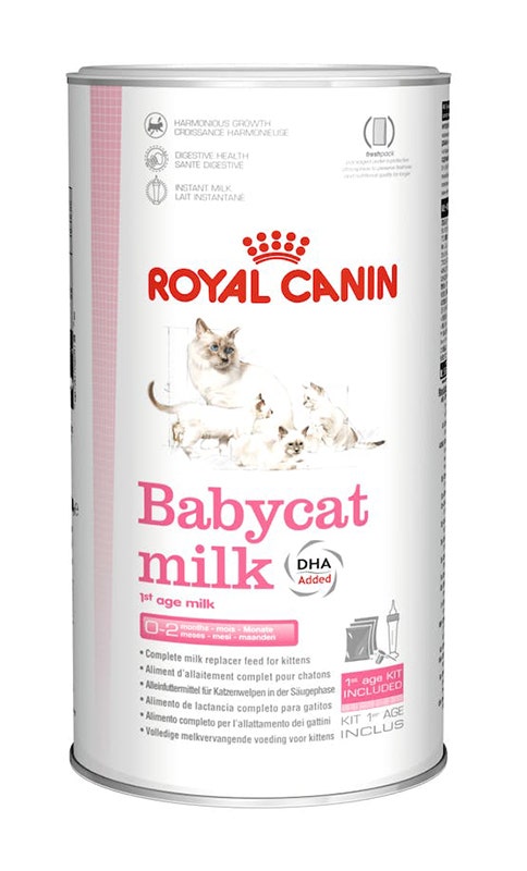 Royal Canin Babycat Milk Alimento Completo Per Gattini 300g-2
