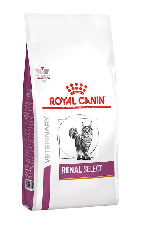 VHN CAT RENAL SELECT 400G-2