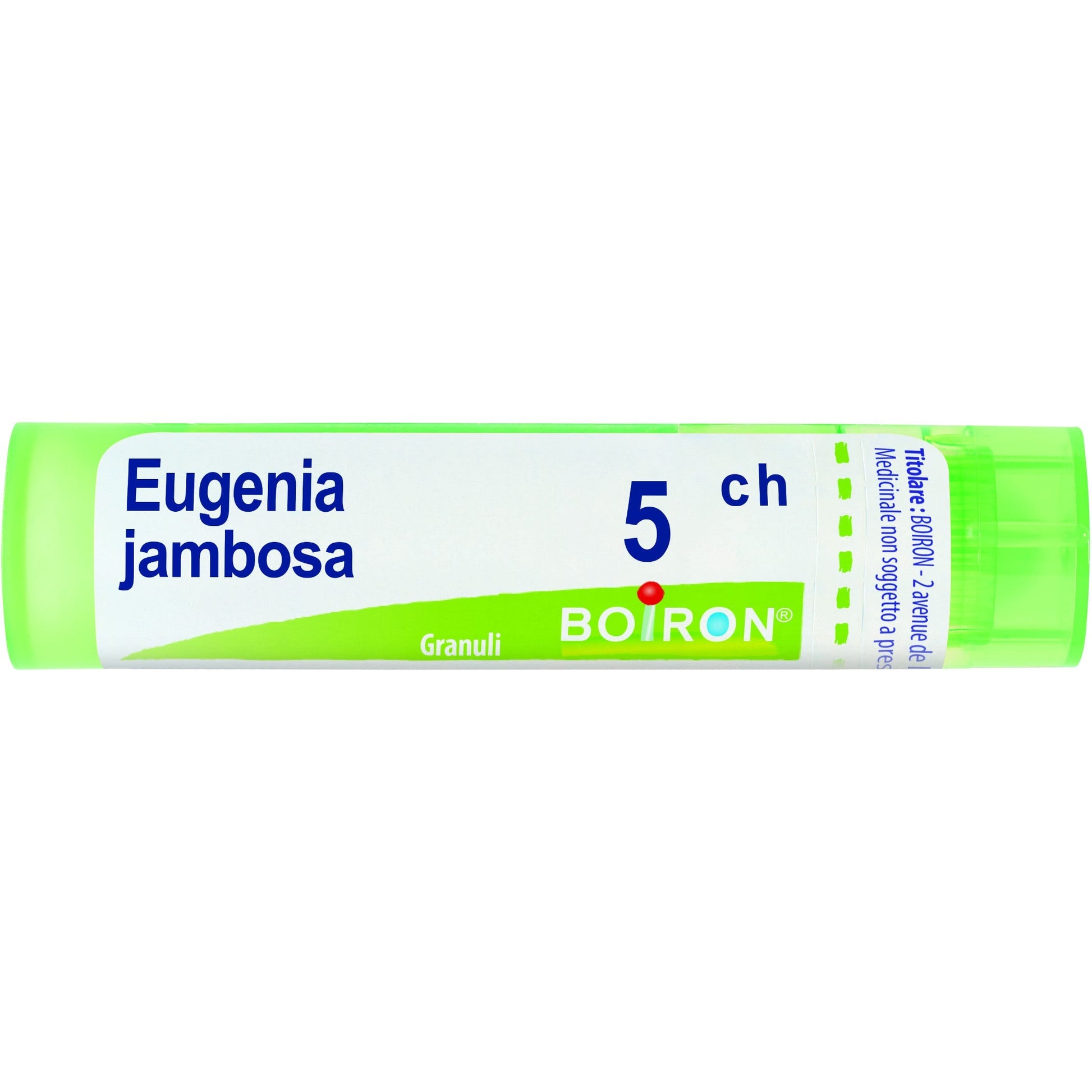 Boiron Eugenia Jambosa 05Ch Tubo Granuli 4g - 1