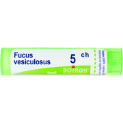 Boiron Fucus Vesiculosus 05Ch Tubo Granuli 4g  - 1