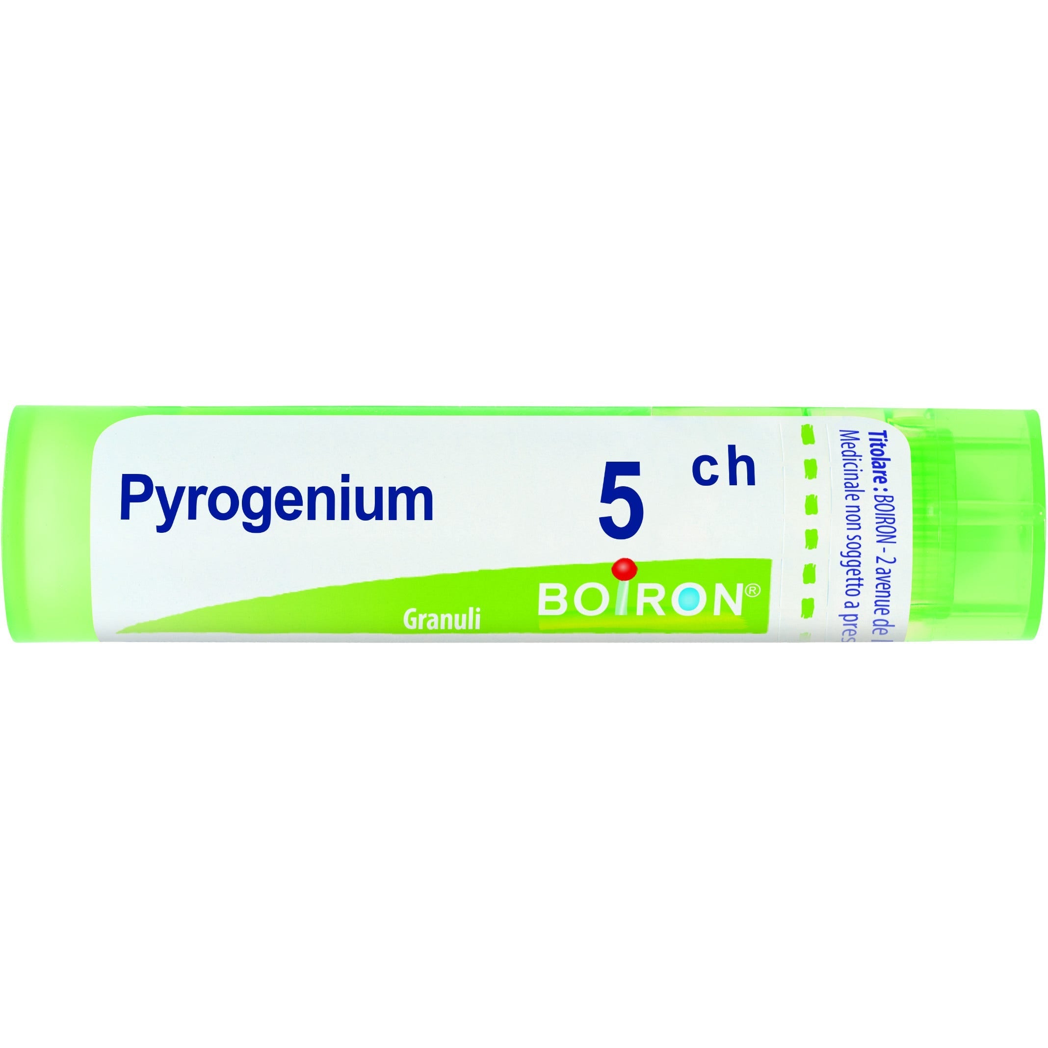 Boiron Pyrogenium Granuli 05Ch Tubo 4g  - 1