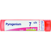 Boiron Pyrogenium Granuli 07Ch Tubo 4g  - 1