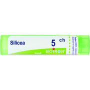 Boiron Silicea Granuli 05Ch Tubo 4g  - 1