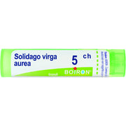 Boiron Solidago Virga Aurea Granuli 05Ch Tubo 4g - 1