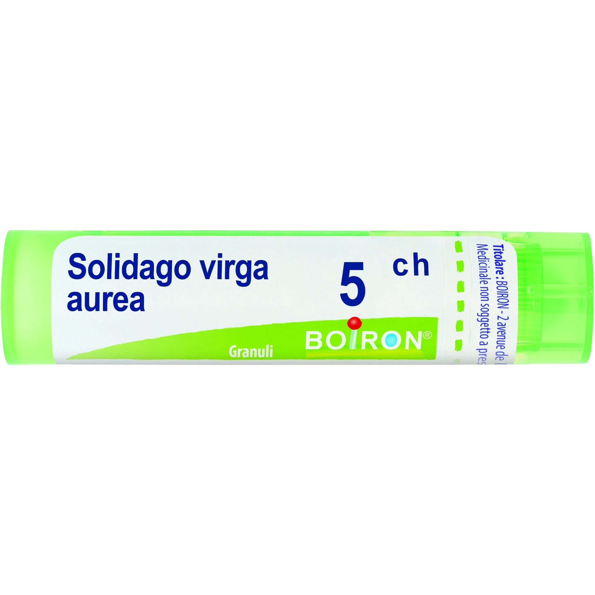 Boiron Solidago Virga Aurea Granuli 05Ch Tubo 4g - 1