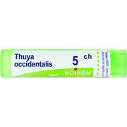 Boiron Thuya Occidentalis Granuli 05Ch Tubo 4g - 1