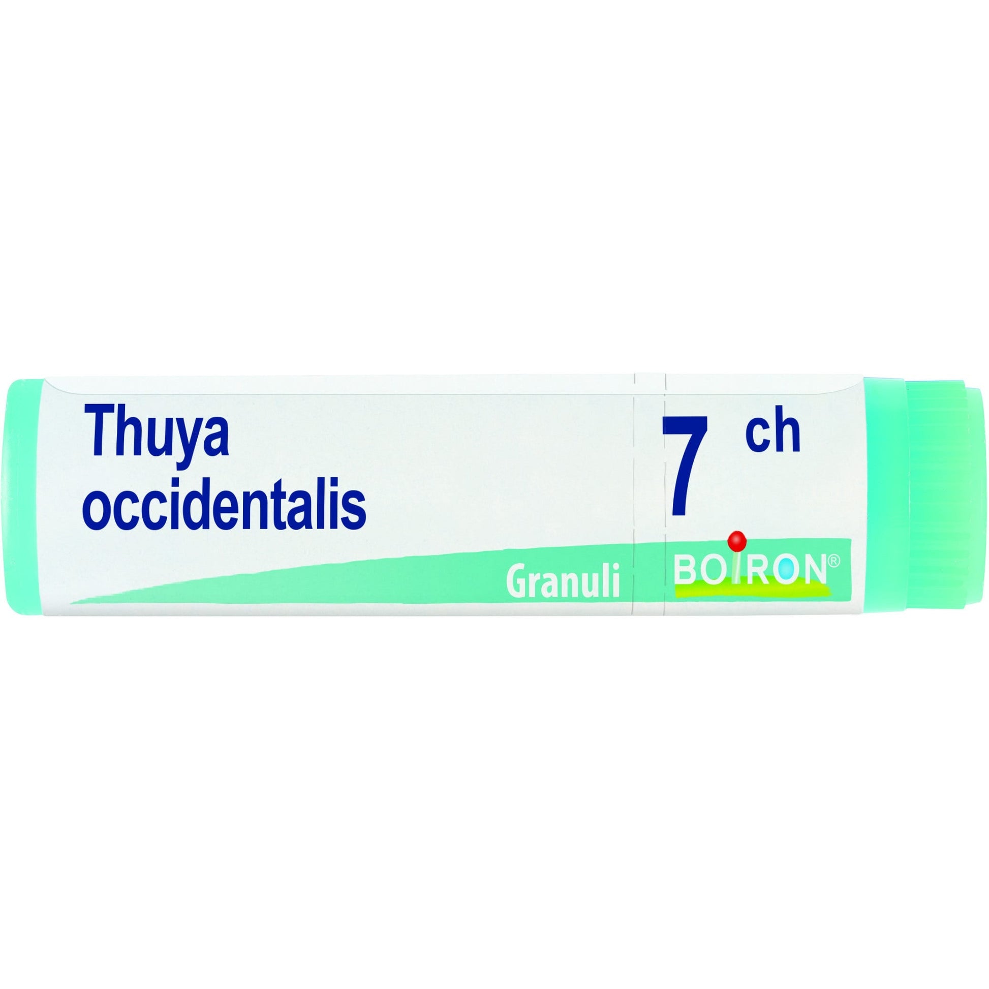 Boiron Thuya Occidentalis Globuli 07Ch Dose 1g - 1
