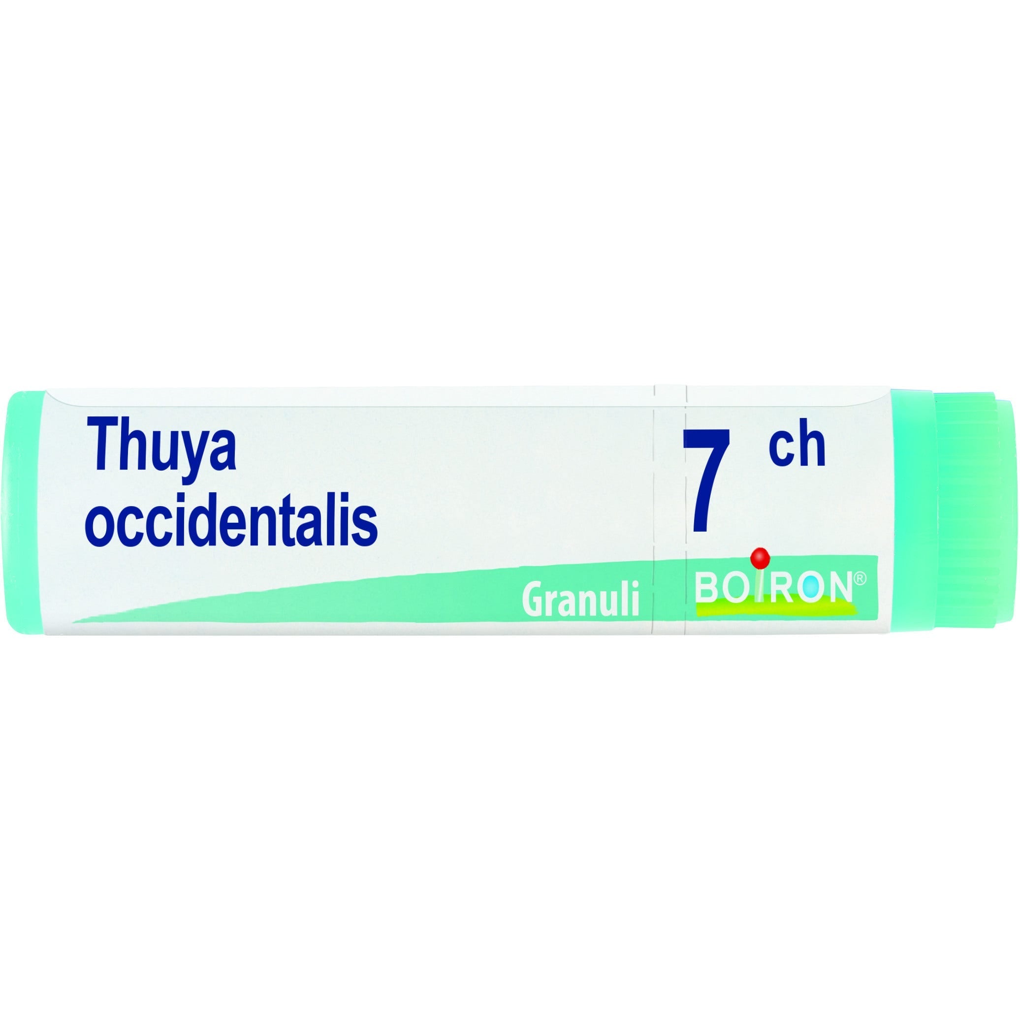 Boiron Thuya Occidentalis Globuli 07Ch Dose 1g - 1