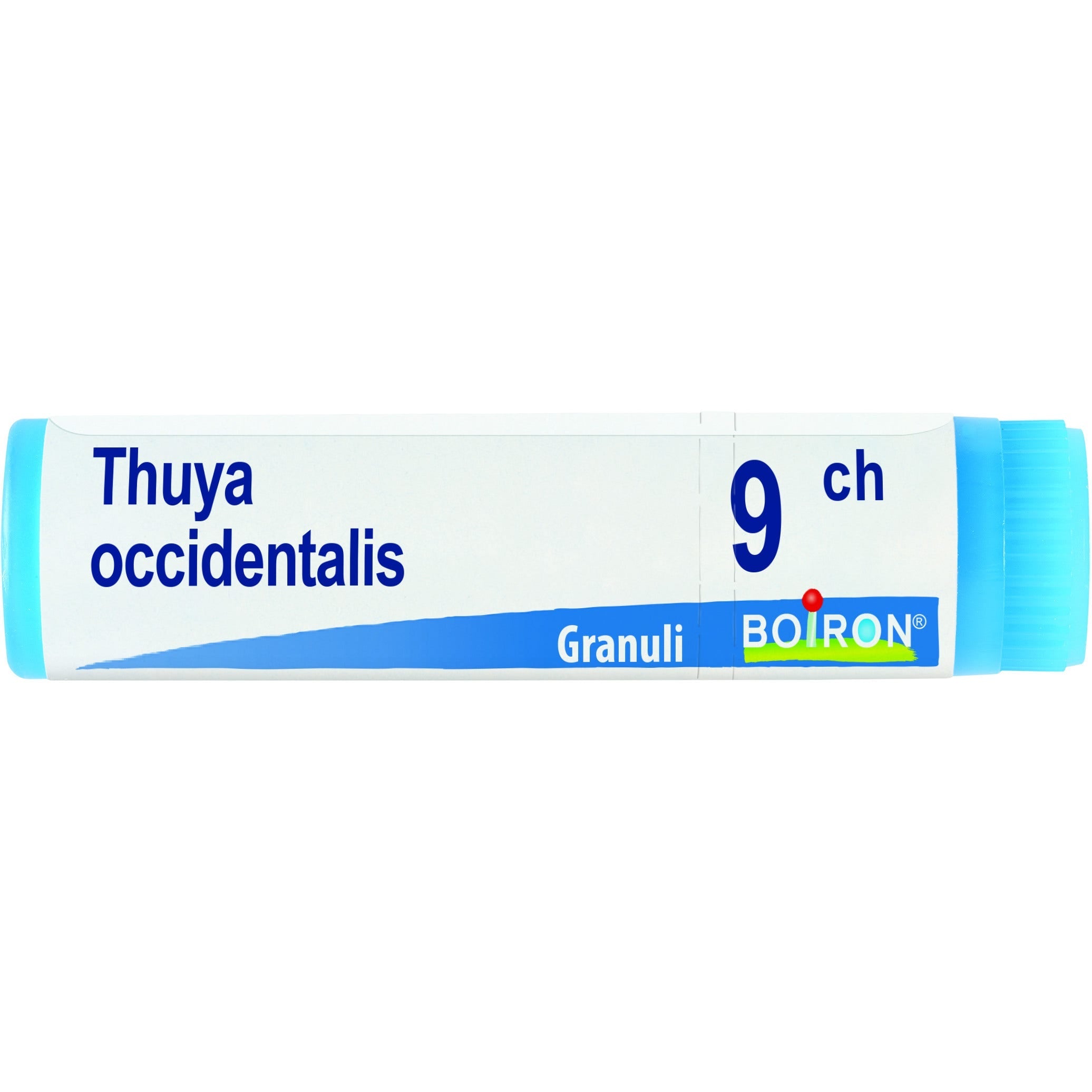 Boiron Thuya Occidentalis Globuli 09Ch Dose 1g  - 1