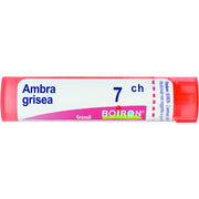 Boiron Ambra Grisea Granuli 07Ch Tubo 4g - 1