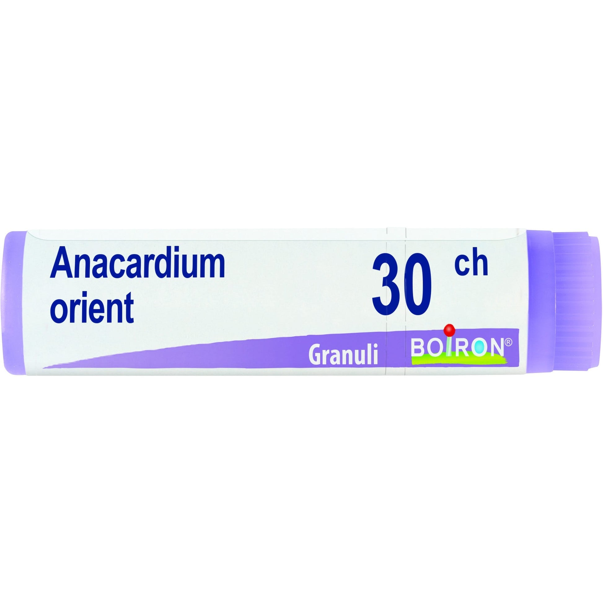 Boiron Anacardium Orientale Globuli 30Ch Dose 1g  - 1