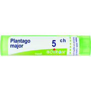Boiron Plantago Major Granuli 05Ch Tubo 4g  - 1