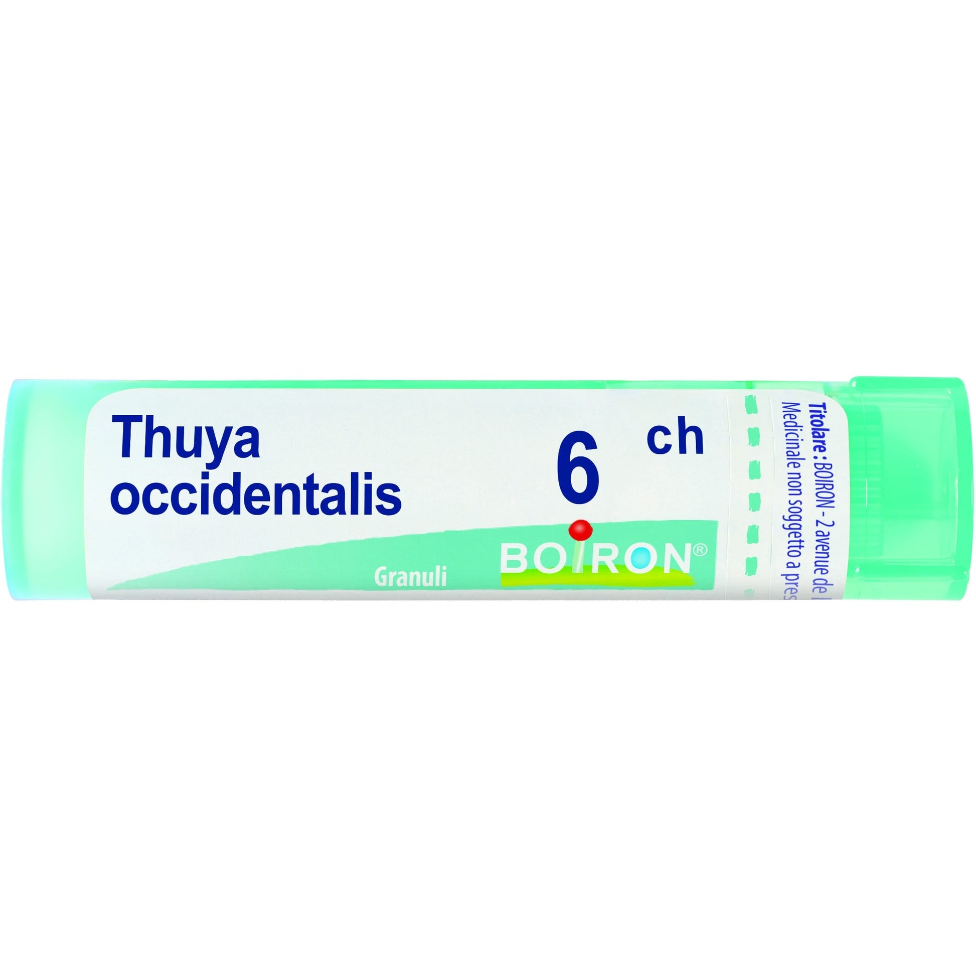 Boiron Thuya Occidentalis Granuli 06Ch Tubo 4g - 1